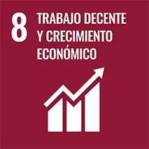 Objetivos de desarrollo sustentable 8